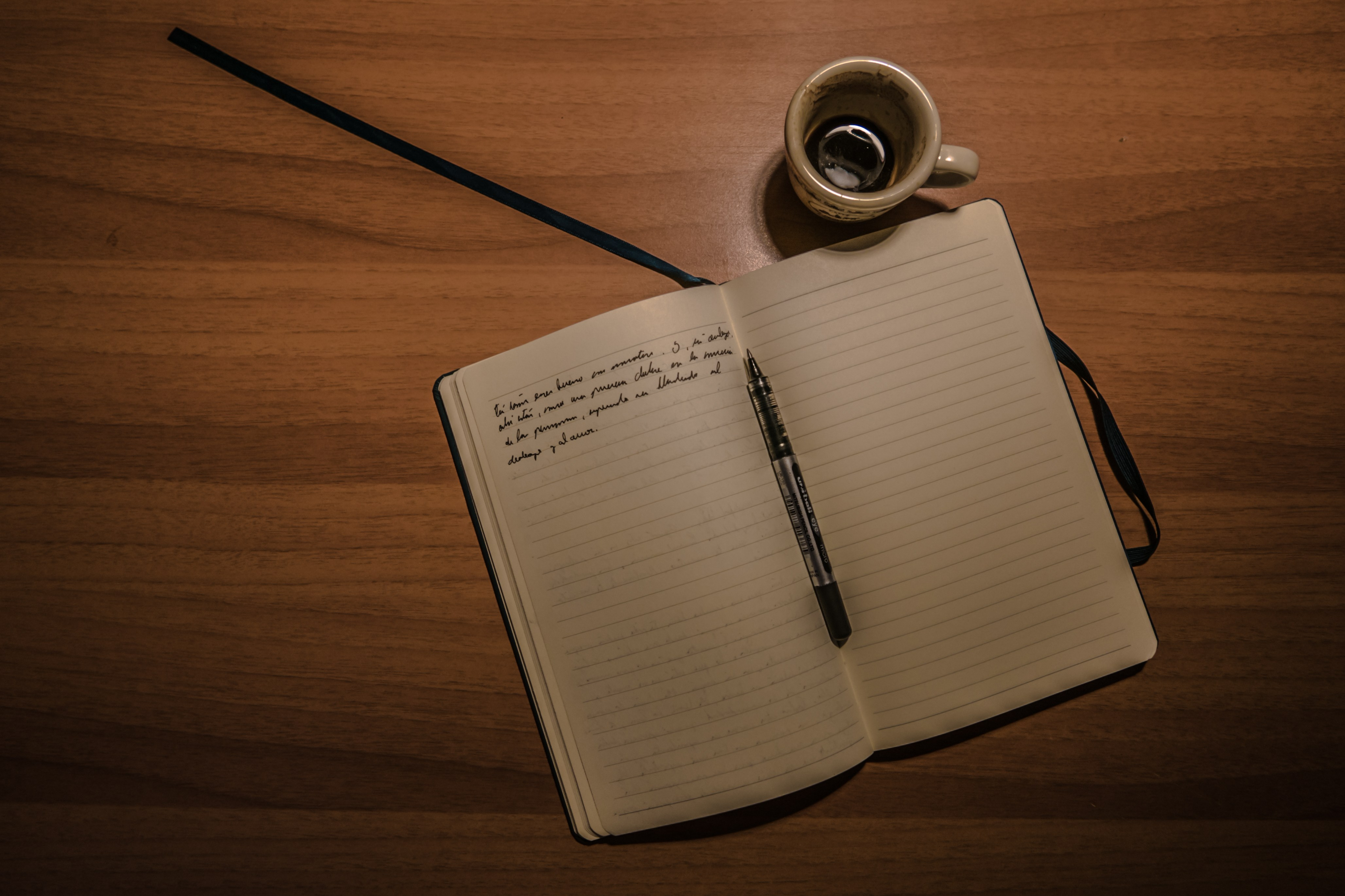 Dear Diary